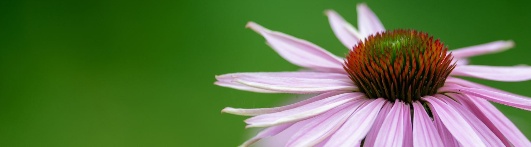 Position Announcement- SLAS is Hiring